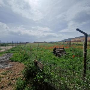 Plot for sale in Los Yébenes - 120910291