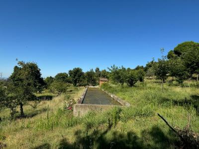 Gård till salu i Candeleda - Tijera Gård till salu i Candeleda - Tijera