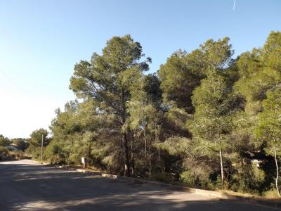 Solare in vendita a Segur de Calafell, Calafell - 110D-16 Solare in vendita a Segur de Calafell, Calafell - 110D-16