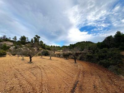 Building-site for sale in Alcañiz - CR-1398