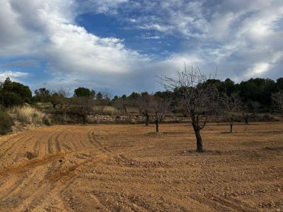 Building-site for sale in Alcañiz - CR-1398