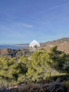 Plot for sale in Los Cármenes - Cerro Gordo - 2058