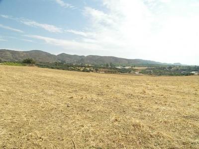 Country property for sale in Alhaurín de la Torre - 4497 Country property for sale in Alhaurín de la Torre - 4497