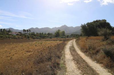 Country property for sale in Alhaurín de la Torre - 6425 Country property for sale in Alhaurín de la Torre - 6425