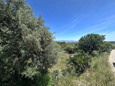 Country property for sale in Alhaurín de la Torre - 6468 Country property for sale in Alhaurín de la Torre - 6468