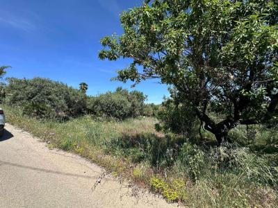 Country property for sale in Alhaurín de la Torre - 6468 Country property for sale in Alhaurín de la Torre - 6468