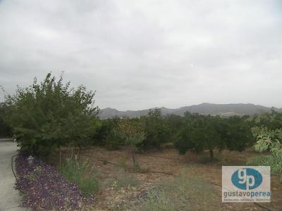 Country property for sale in Alhaurín de la Torre - 4176 Country property for sale in Alhaurín de la Torre - 4176