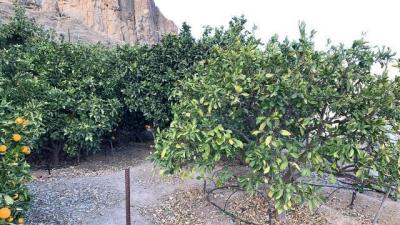 Country property for sale in Arguineguín, Mogán - Finca B.Andrés