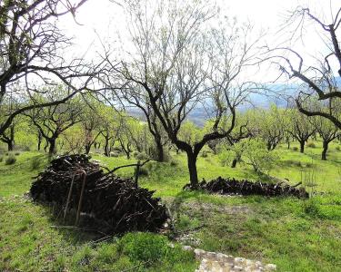 House for sale in Mecina-Bombarón - 3921