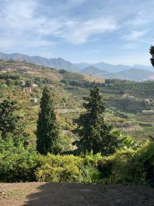 Perceel te koop in Monte los Almendros - El Pargo - Costa Aguilera, Salobreña - 2074 Perceel te koop in Monte los Almendros - El Pargo - Costa Aguilera, Salobreña - 2074