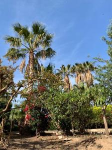 Perceel te koop in Monte los Almendros - El Pargo - Costa Aguilera, Salobreña - 2074 Perceel te koop in Monte los Almendros - El Pargo - Costa Aguilera, Salobreña - 2074