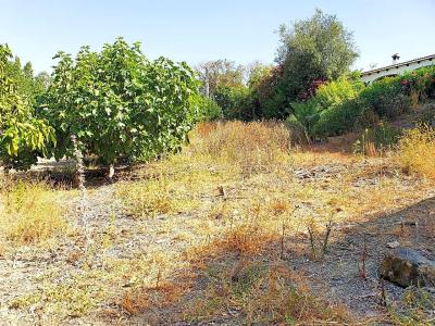 Sotogrande منزل للبيع - RZZ002F3