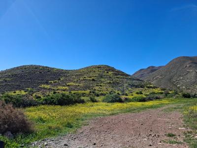 出售住房Pozo De los Frailes - Presillas - Albaricoques, Níjar - 3230-02677