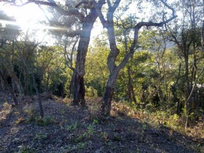 出售住房Niàgara Parc - Ágora Parc - Roca Rossa - KOT136