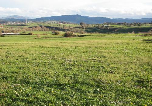 Parcela en venta en Suances - 6902/1770 Parcela en venta en Suances - 6902/1770