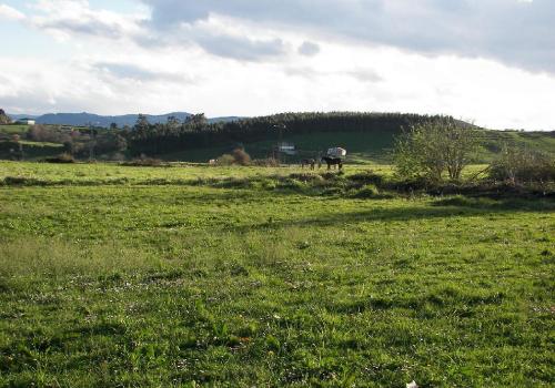 Parcela en venta en Suances - 6902/1770 Parcela en venta en Suances - 6902/1770