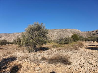 Tomt till salu i Villena - SP4852 Tomt till salu i Villena - SP4852