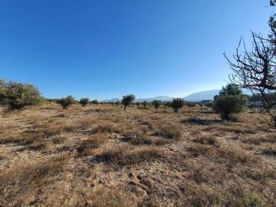 Tomt till salu i Villena - SP4852 Tomt till salu i Villena - SP4852
