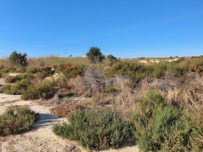 Plot for sale in Rebolledo - SP4861 Plot for sale in Rebolledo - SP4861