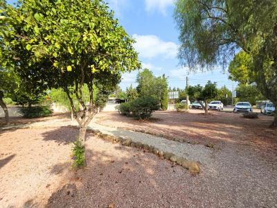 Bungalow in affitto a Buenavista, Guardamar del Segura - GM769ALQTEBU Bungalow in affitto a Buenavista, Guardamar del Segura - GM769ALQTEBU