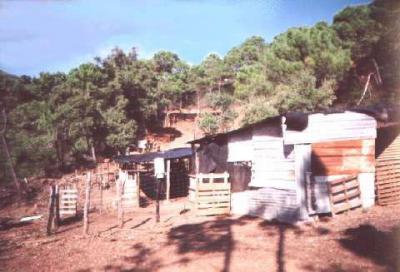 出售地块Sierra De Estepona-Avda de Andalucia - 996-3