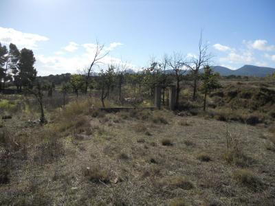 Finca te koop in Castalla - 3773D Finca te koop in Castalla - 3773D