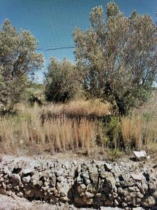 Tomt till salu i Benissa pueblo - 3169D Tomt till salu i Benissa pueblo - 3169D