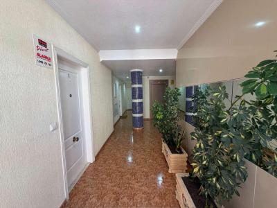 Appartement zum verkauf in Zona Pueblo, Guardamar del Segura - P-1607 Appartement zum verkauf in Zona Pueblo, Guardamar del Segura - P-1607