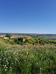 House for sale in Toro - 08775