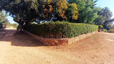 Bungalow for sale in Palacios del Pan - 08805