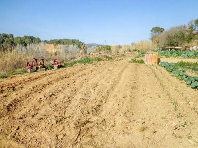 Plot for sale in Piera - MCM3705AI