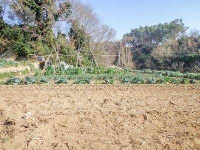 Plot for sale in Piera - MCM3705AI