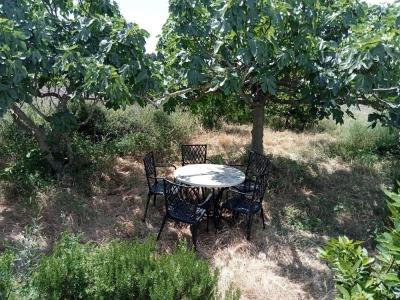 Ponent - Barri de França عزبة للبيع, El Vendrell - MCC2203GH Ponent - Barri de França عزبة للبيع, El Vendrell - MCC2203GH