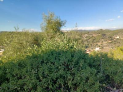 Parcela en venta en Castellet i la Gornal - MCC6309MV Parcela en venta en Castellet i la Gornal - MCC6309MV