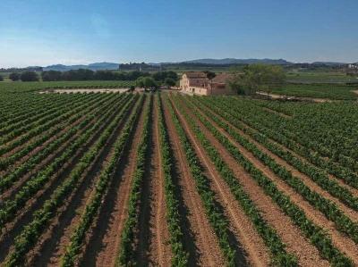 Finca en venta en Castellet i la Gornal - MCC5349GH Finca en venta en Castellet i la Gornal - MCC5349GH