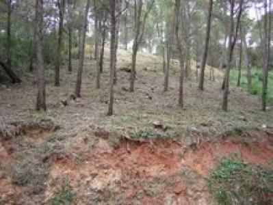 Plot for sale in Piera - MCM-24318RR