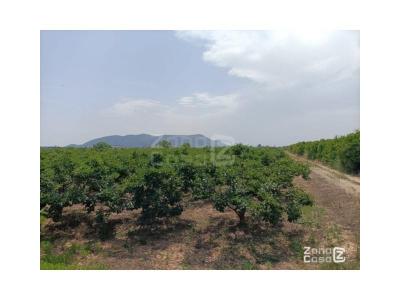 Country property for sale in Bonavista - Lago San Lorenzo, Cullera - FIN_1396 Country property for sale in Bonavista - Lago San Lorenzo, Cullera - FIN_1396