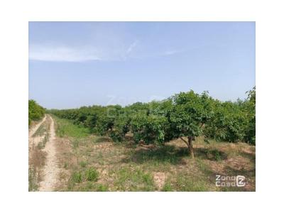 Country property for sale in Bonavista - Lago San Lorenzo, Cullera - FIN_1396 Country property for sale in Bonavista - Lago San Lorenzo, Cullera - FIN_1396