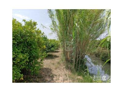 Country property for sale in Zona pueblo, Sueca - FIN_1397 Country property for sale in Zona pueblo, Sueca - FIN_1397