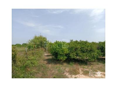 Country property for sale in Zona pueblo, Sueca - FIN_1397 Country property for sale in Zona pueblo, Sueca - FIN_1397