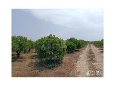 Finca zum verkauf in Fortaleny - FIN_1398