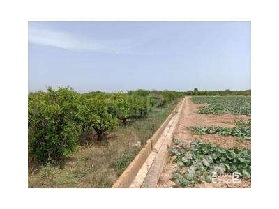 Finca zum verkauf in Fortaleny - FIN_1398
