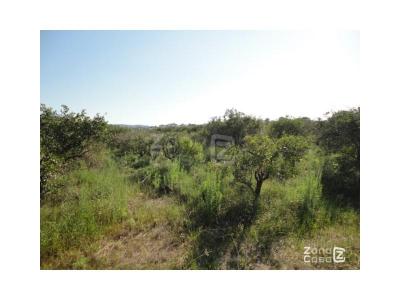 Country property for sale in Benicull de Xúquer - 01070 Country property for sale in Benicull de Xúquer - 01070