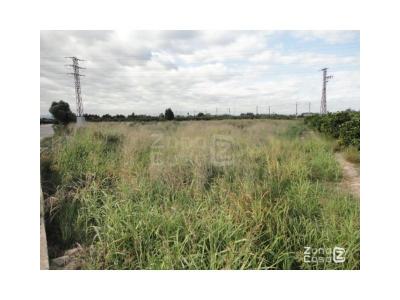 Finca zum verkauf in Urbanitzacions i Pedanies Sud, Alzira - FIN_1412