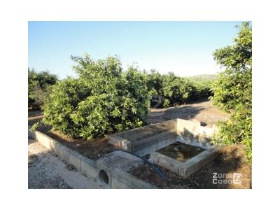 Finca zum verkauf in Rafelguaraf - FIN_1414