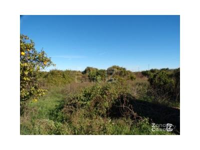 Finca zum verkauf in Urbanitzacions i Pedanies Nord, Alzira - FIN_1419