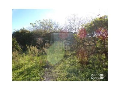 Finca zum verkauf in Urbanitzacions i Pedanies Nord, Alzira - FIN_1419