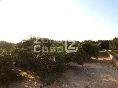 Finca zum verkauf in Guadassuar - FIN_1433