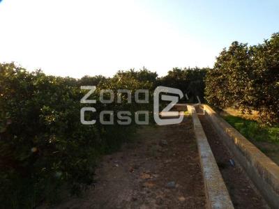 Finca zum verkauf in Guadassuar - FIN_1433