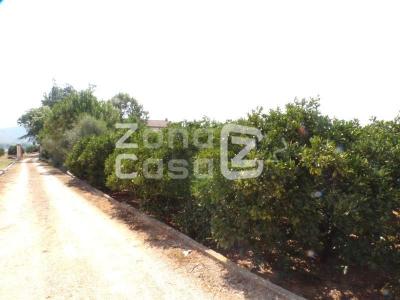 Finca zum verkauf in Carcaixent - FIN_1462